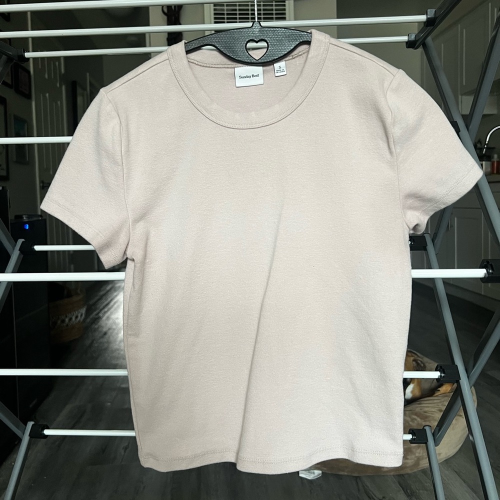 Aritzia Sunday Best cropped T-shirt